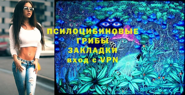 таблы Вяземский