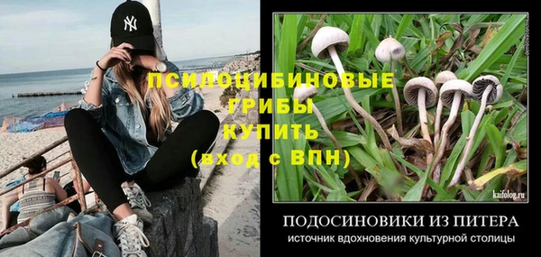таблы Вяземский