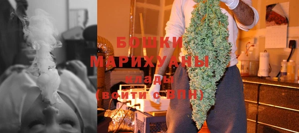 мдпв Шарыпово
