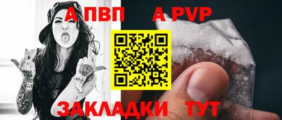 гашик Кингисепп