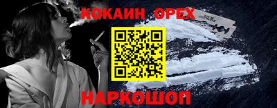 гашик Кингисепп