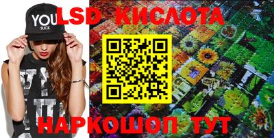 гашик Кингисепп