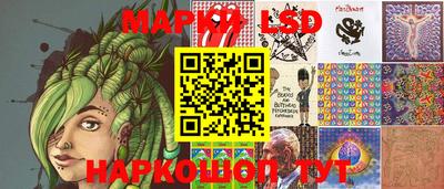 гашик Кингисепп