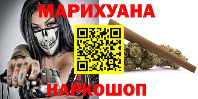 гашик Кингисепп