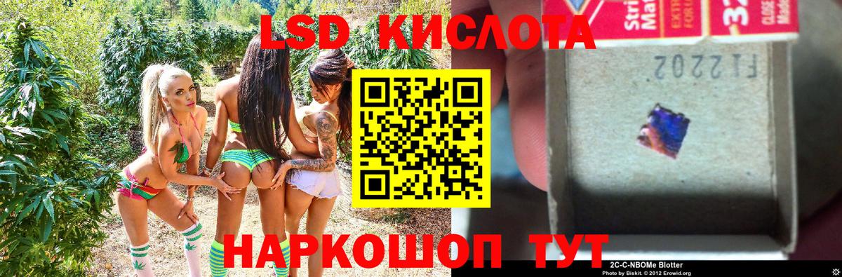 Наркотические марки  Нерюнгри  купить наркотики цена  Марки N-bome 1,5мг 