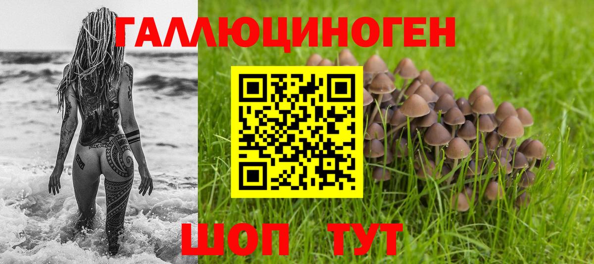 Псилоцибиновые грибы мухоморы  Нерюнгри 