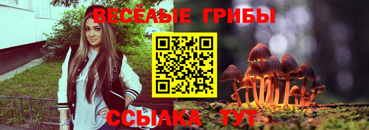 Псилоцибиновые грибы Magic Shrooms Нерюнгри