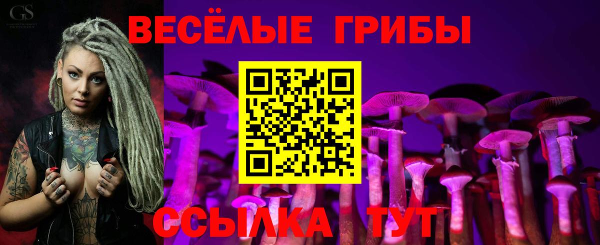 Псилоцибиновые грибы мухоморы  Вход с VPN  Нерюнгри 